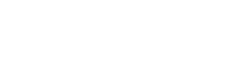 Bopple Logo